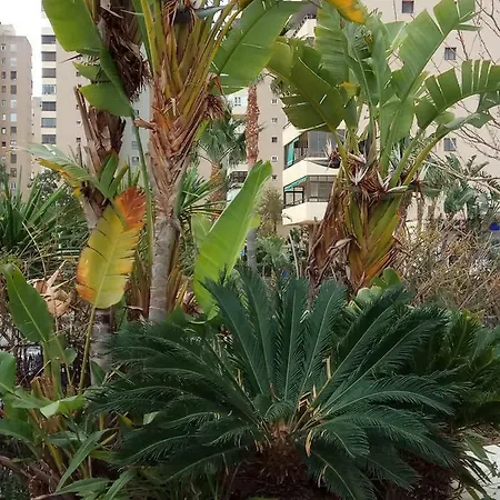 Apartament Cozy Loft Torremolinos