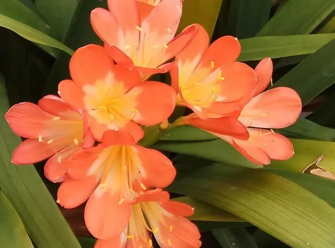 Appartamento Cozy Loft Torremolinos