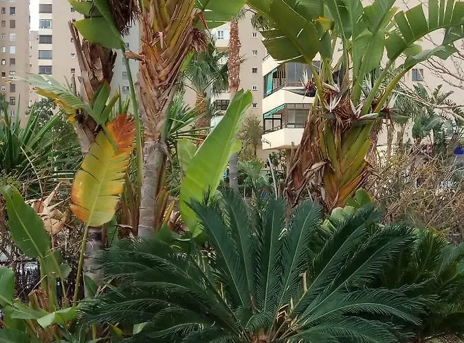 Appartamento Cozy Loft Torremolinos