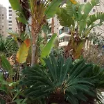 Apartment Cozy Loft Torremolinos